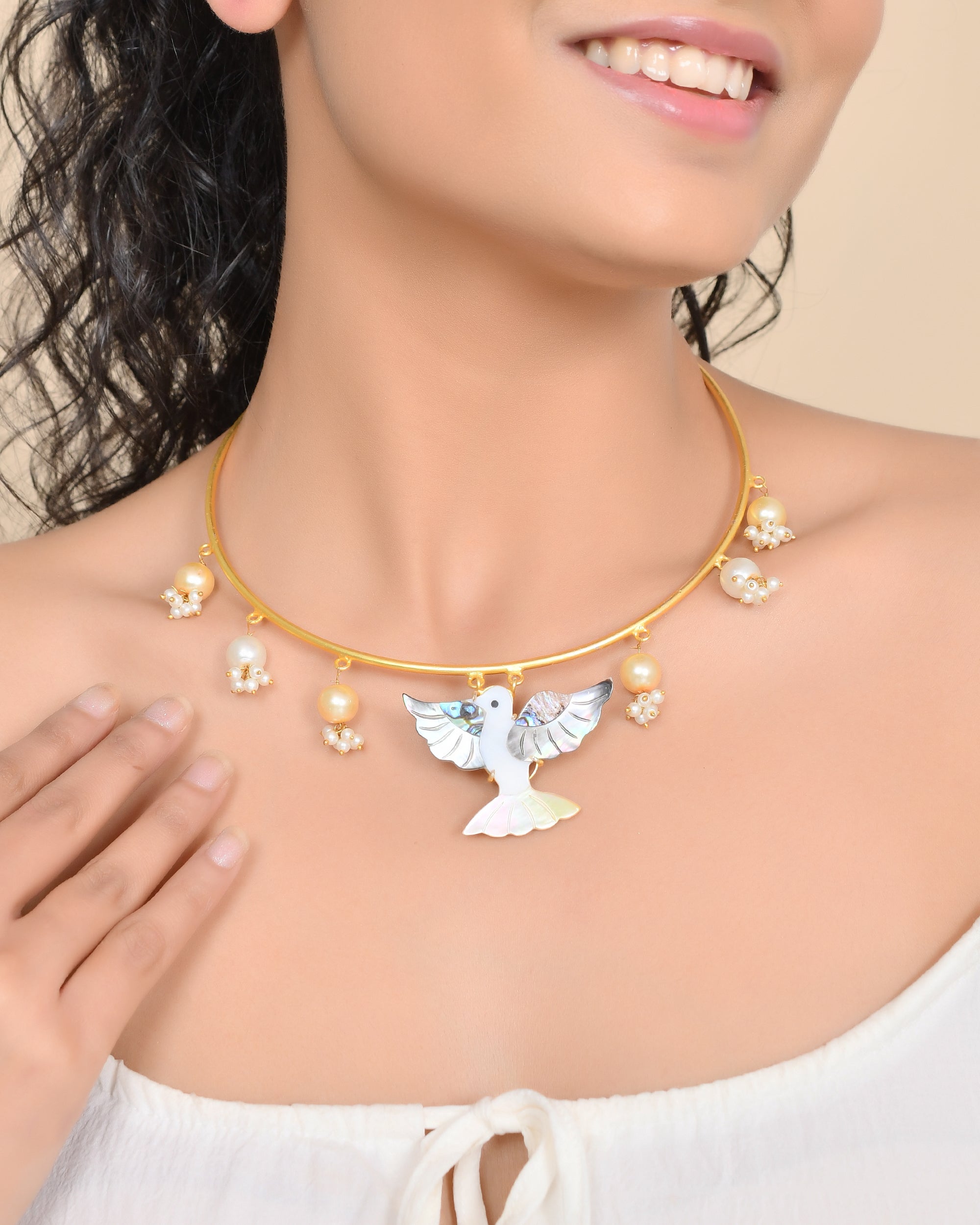 BIRDS IN THE SKY HASLI